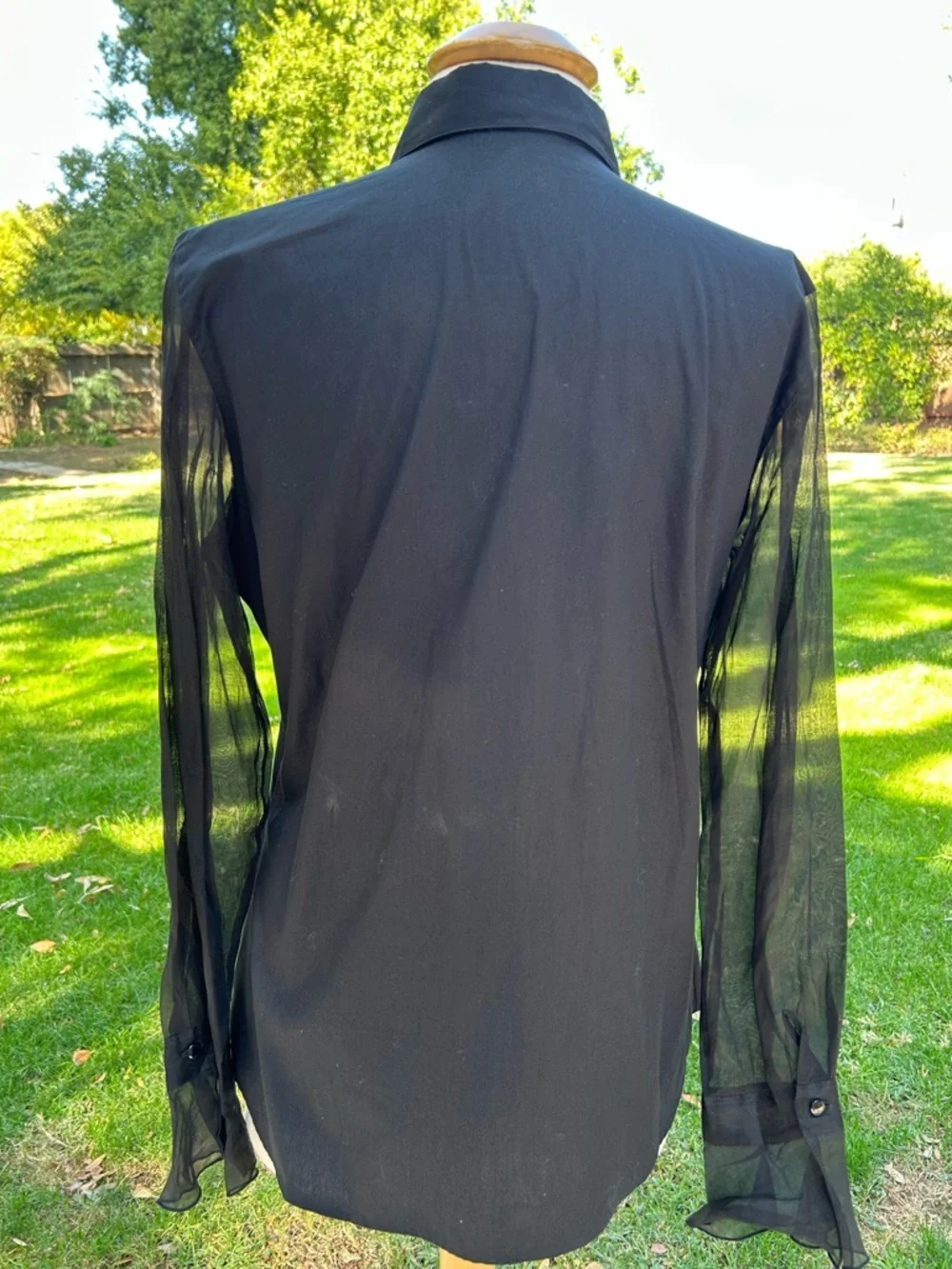 Anne Fontaine Black Sheer Sleeve Rosaorgal Blouse - Picture 2 of 9